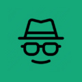 Self-Contained Anonymizing Networks - Private Internet