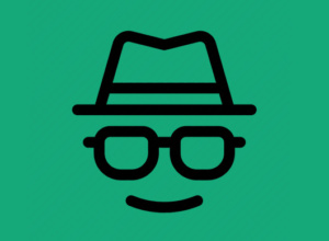 Self-Contained Anonymizing Networks - Private Internet