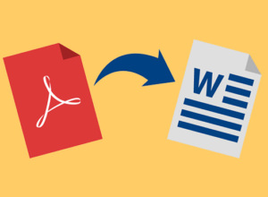 Free Bulk Convert PDF To Editable Word Docx, Excel, JPEG And More