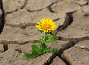 Best Lessons For Life Quotes And Disappointments