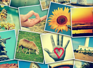 Free Image Organizer And Viewer - Best Photo Management Freeware